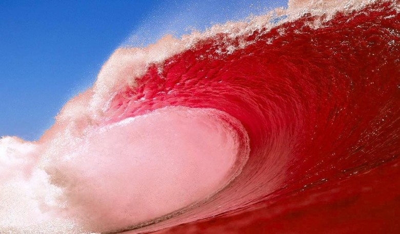 Miami-Dade Early Returns Signal a Red Tsunami Is Coming