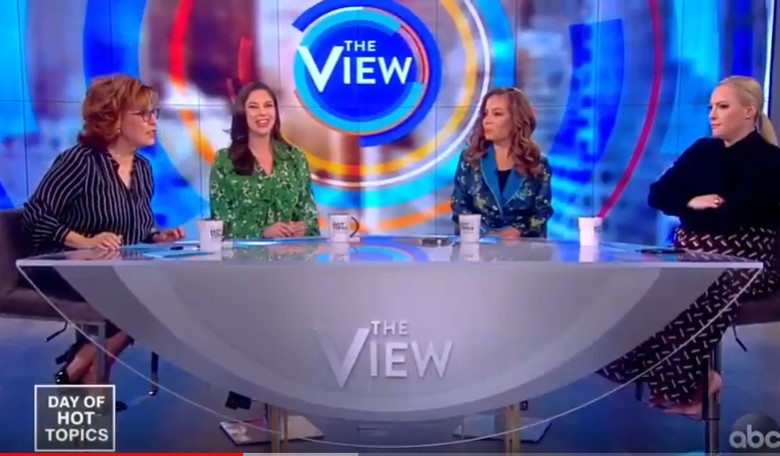 Joy Behar Silences Meghan McCain On The View, and the Claws Came Out