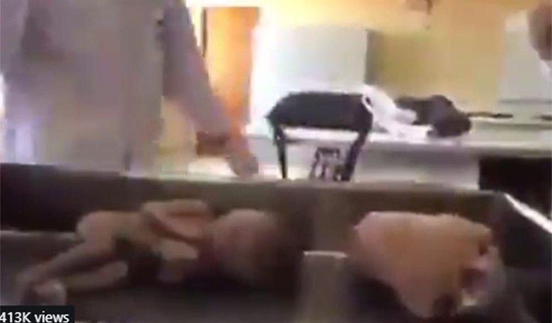 Shocking Video of People In Lab Coats Using Aborted Babies As Puppets Circulates Web