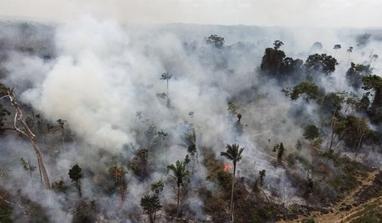 Brazil Tells G7 to Keep Their Aid Money, then Burns World Leaders by Telling Them What They Can Do With It