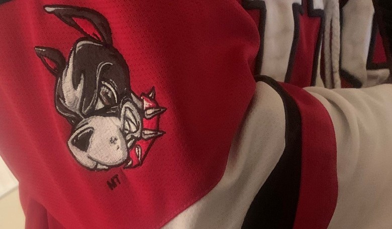 My Alma Mater, Boston U, Is Considering Changing the Name of Our Mascot, Rhett, and The Reasoning is Foolish