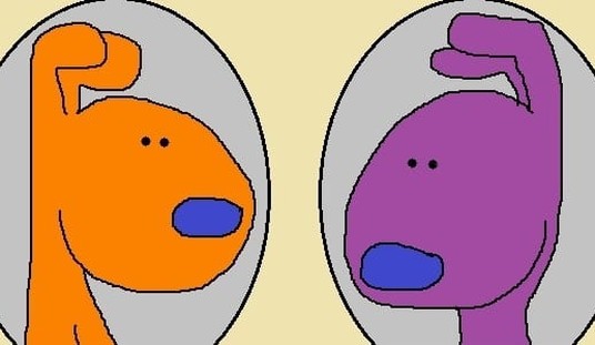 'Name The Parents' Contest Winners Announced!