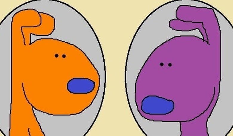 'Name The Parents' Contest Winners Announced!