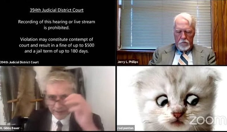 Texas Lawyer Shows up to Virtual Court Hearing With Cat Filter, Hilarity Ensues