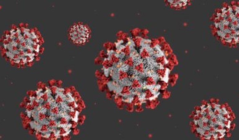 Expert Virologist Claims 'Scientific Evidence Points to the Conclusion That the Virus Was Developed in a Lab'