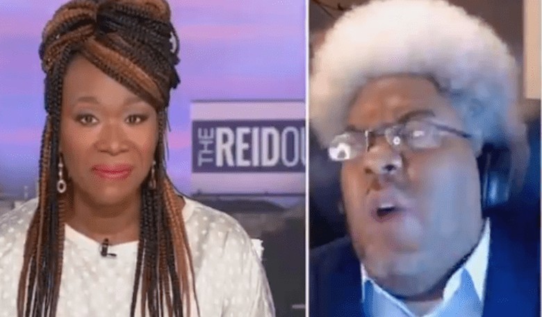 MSNBC Contributor Goes Absolutely Insane After SCOTUS Ruling