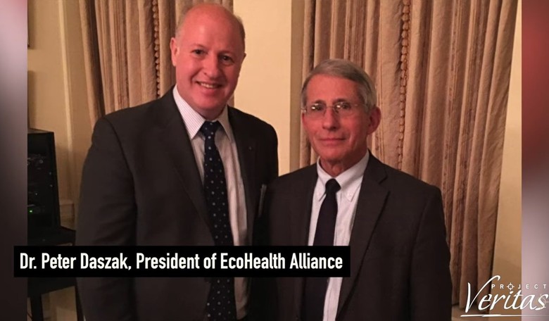 Fauci’s Parting Shot: A $3.3 Million Grant to Peter Daszak and Ecohealth Alliance to Study Bat Corona Viruses