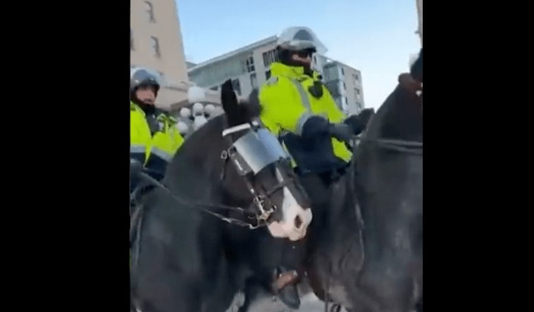 Ottawa Police Excuse for Horses Running Over Freedom Convoy Protesters Departs From Reality