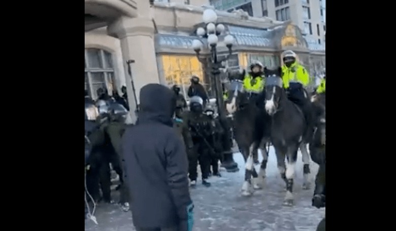 Here's More on the Ottawa Freedom Convoy Woman Run Over by Police With Their Horses