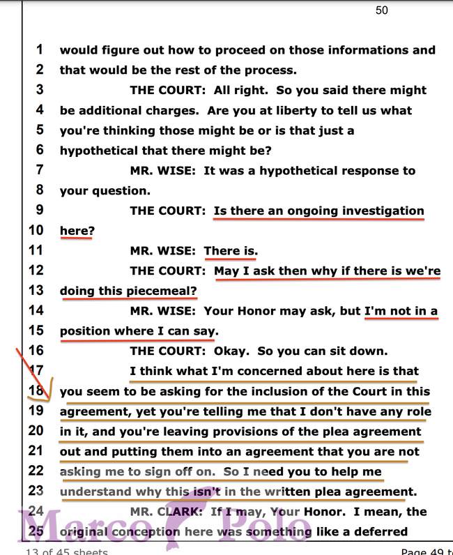 Official Court Transcript From Hunter's Foiled Plea Agreement Hearing ...