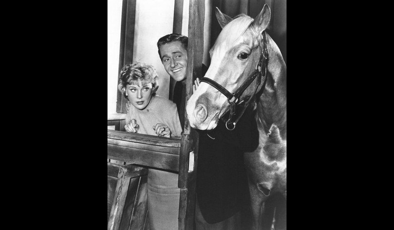 Flight Forced to Return to JFK Airport Because...a Horse Got Loose?