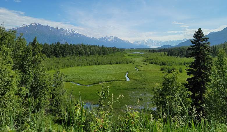 Trump Arriving in Alaska Friday for Meet-Up With Putin, and the Local Left Has Big Plans