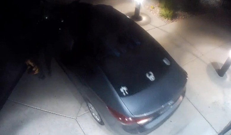 Shock Video: Colorado Bandits Back Up Car to Smash Into Gun Store
