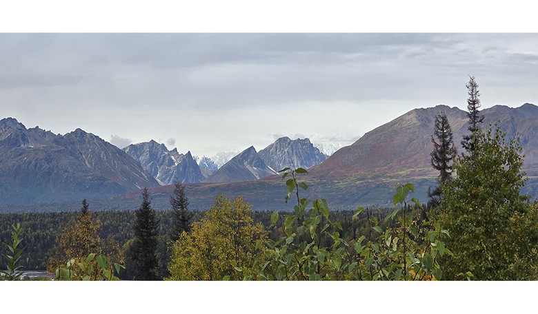 It Happens Here Too: Three Alaska Group Homes Now Facing Medicare Fraud Charges