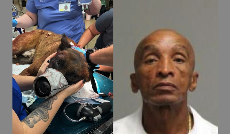BREAKING: Man Accused of Stabbing Las Vegas K9 'Enzo' Allegedly Wanted for Murder in Missouri 