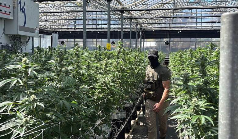 CA Rep. Salud Carbajal Doxxed ICE Agent Who Participated in Raid at His Donor's Marijuana Farm