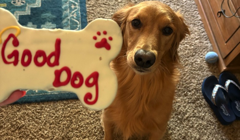 Morning Minute: Barking Up the Wrong Tree