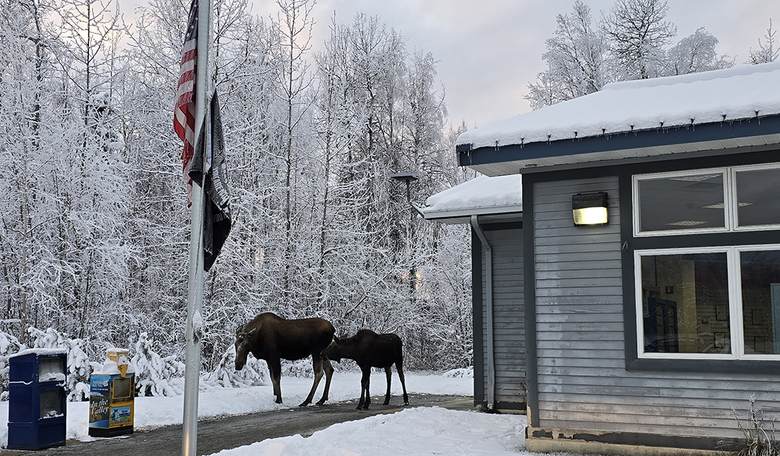 End Daylight Saving Time in Alaska? New Poll Shows Strong Support