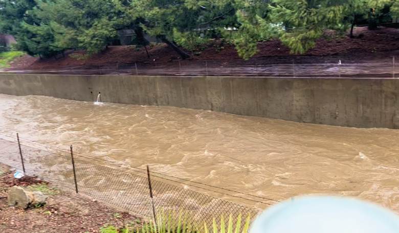 FLASHBACK: It's Raining Cats and Dogs in California—but What Happens to All That Water?