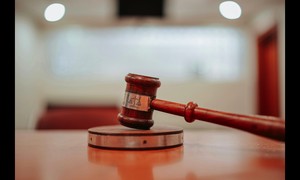 Study Examines Foreign-Born Judges for Immigration Bias, Finds a Different Divide