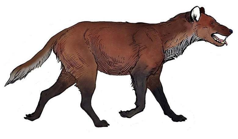 A Dire Situation? Scientists Claim to Have Brought Back Long-Extinct 'Game of Thrones' Species
