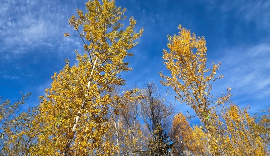 Photographs and Memories: The Coming of Autumn