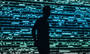 Shades of Fang Fang: Former Federal Reserve Official Taken Down in Chinese Honeypot Spying Drama