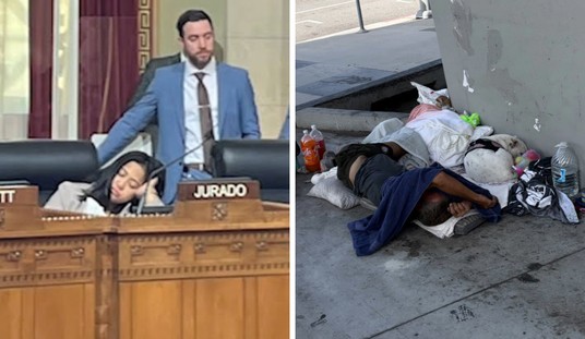 Drugs, Death, Animal Torture on Skid Row — but Guess What Finally Got LA Councilwoman's Attention?