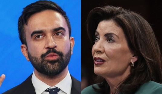 ICE Just Dropped the Data on Illegal Alien Detainers That Hochul and Mamdani Don't Want You to See