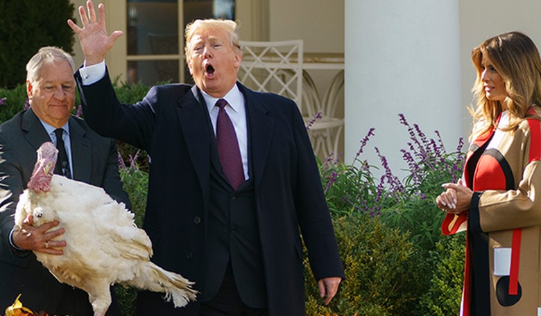 Surviving Tribal Politics in the Season of Thanksgiving