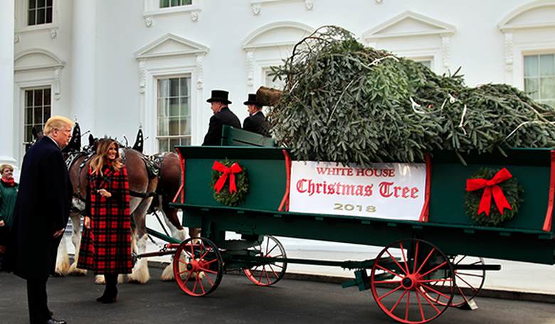 The Miraculous Beginnings of Christmas