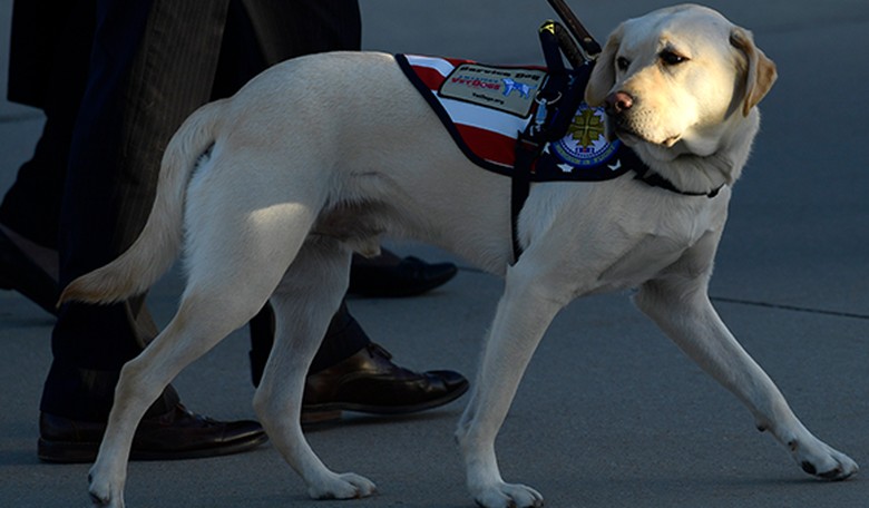 With New Uniform and Rank, Sully H.W. Bush Embarks on New Mission to Help Wounded Warriors