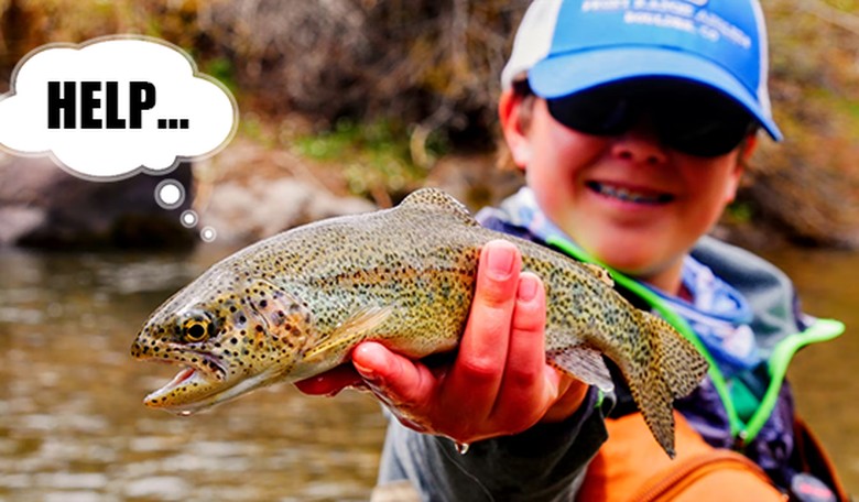 PETA: 'We can't be friends if you like fishing' - Everyone: 'Sounds good'