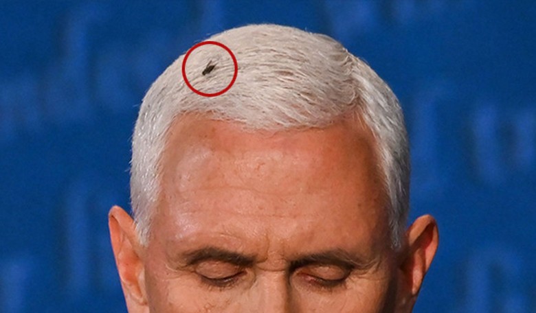 He has classified documents, Mike Pence has classified documents, WE ALL HAVE CLASSIFIED DOCUMENTS!