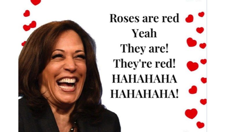 Hollaria Briden's thread of Dem/Lefty Valentine's Day cards the funniest damn thing you'll see today