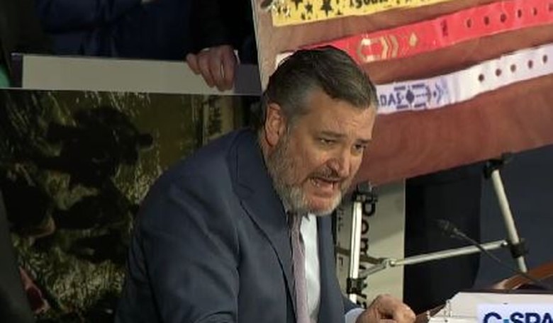 Sen. Ted Cruz takes a flamethrower to DHS Secretary Mayorkas (who was offended by the truth)