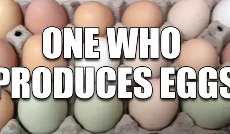EGGS! As Egg Prices Reach an All-Time High, the Left Finds Creative Ways to Blame Trump