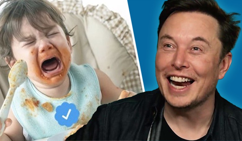 Paul Krugman gets trolled by Elon Musk in one tweet that perfectly sums up the Blue Check Wars