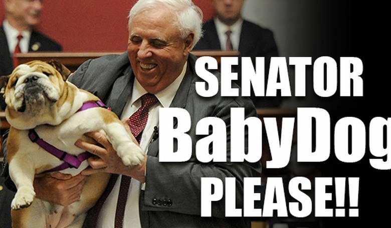 Jim Justice announces run against Joe Manchin but most people want Senator BabyDog!