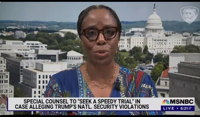 WOW: Check Out Just One of the Texts Between Stacey Plaskett and Her 'Constituent' Jeffrey Epstein (Pic)