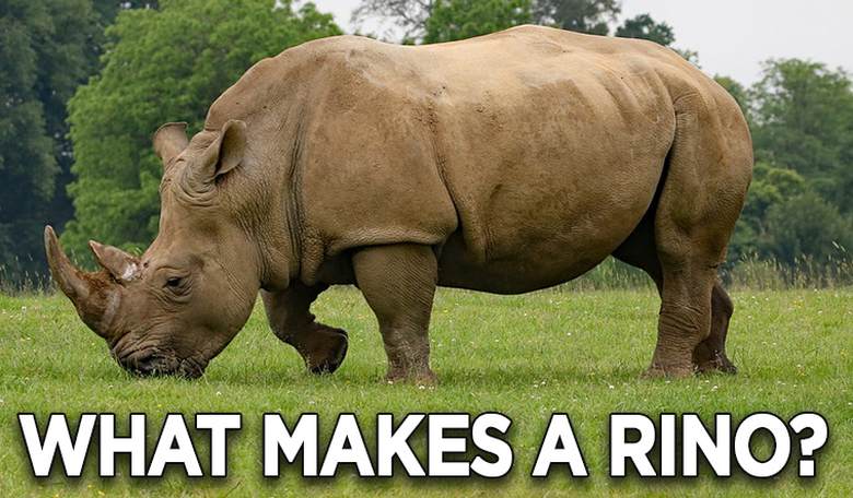 Christina Pushaw asks an important question: What makes a RINO? 