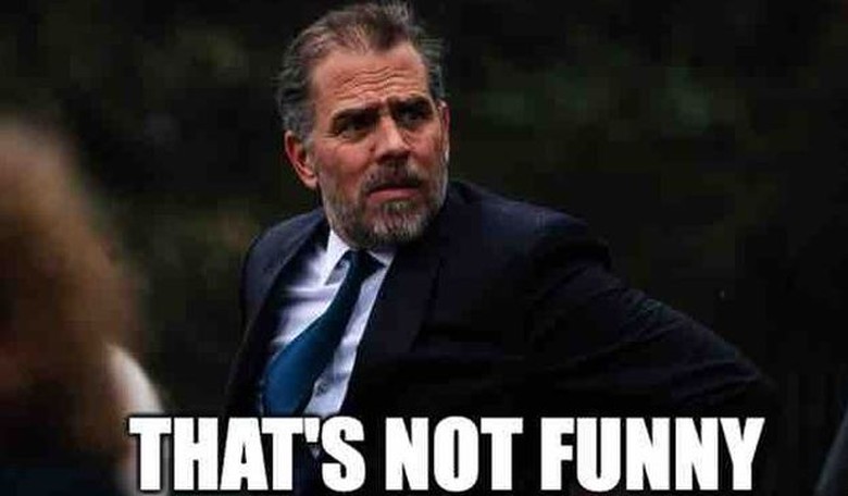 Hunter Biden sues the IRS for 'violating his rights as a taxpayer' and all we can do is LAUGH (thread)