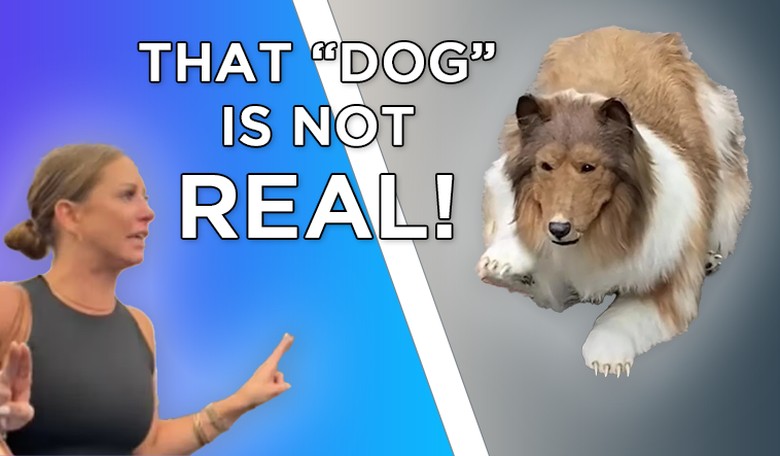 Kristof Screws the Pooch: Supposed Medical Journals Backfire Spectacularly