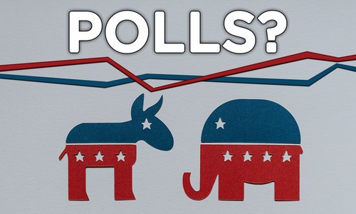 ‘Wedgewood Polls’ Says It's Fake, Just Social Experiment to Show Vulnerabilities of Polling Industry