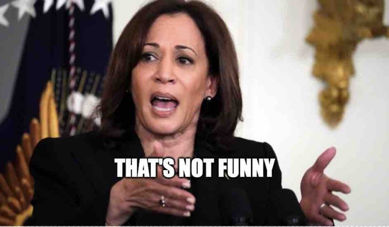 Kamala Claims to Have Always Had Only 'One Client' (LOL, Guess How THAT Went Over on Twitter)