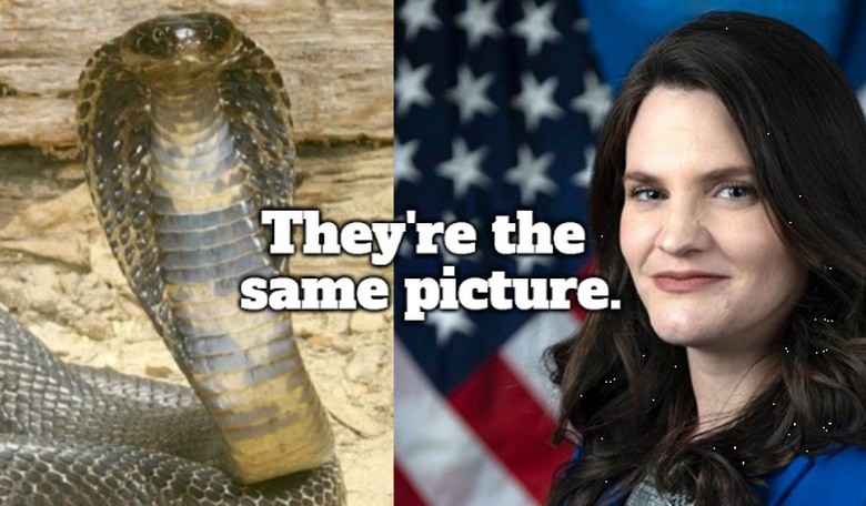 Irony Alert: Wannabe Dolores Umbridge Nina Jankowicz Goes to Europe to Call US an 'Autocracy'