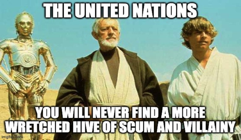 WHOOPS: United Nations Karen Accidentally Justifies Israel's War on 'Political Force' Hamas (WATCH)