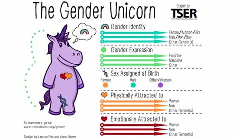 Prof Teaching Transgenderism Unimpressed By Efforts to Stop Her From Teaching the ‘Biological Truth’