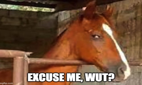 VIDEO: Neigh Means Neigh, Carlson! Tucker Talks About Finding a Horse 'Attractive' (CONTENT WARNING)