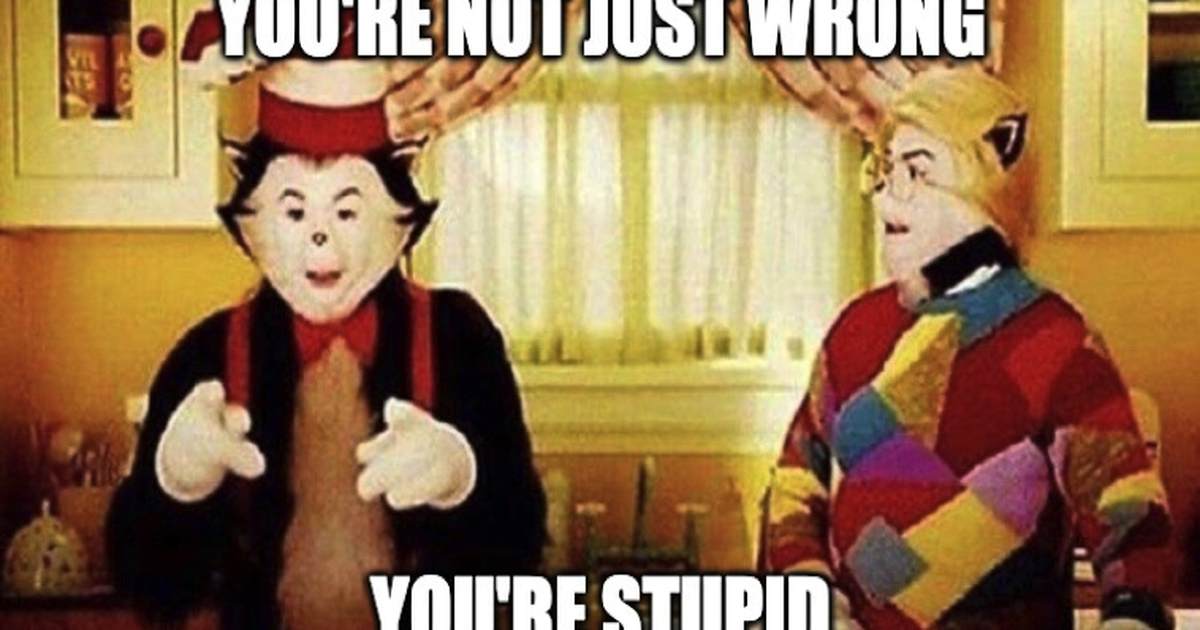 Obtuse Woman Mixes Up Ilhan Omars Immigration Story With Total Immigration Fraud Elon Musks
